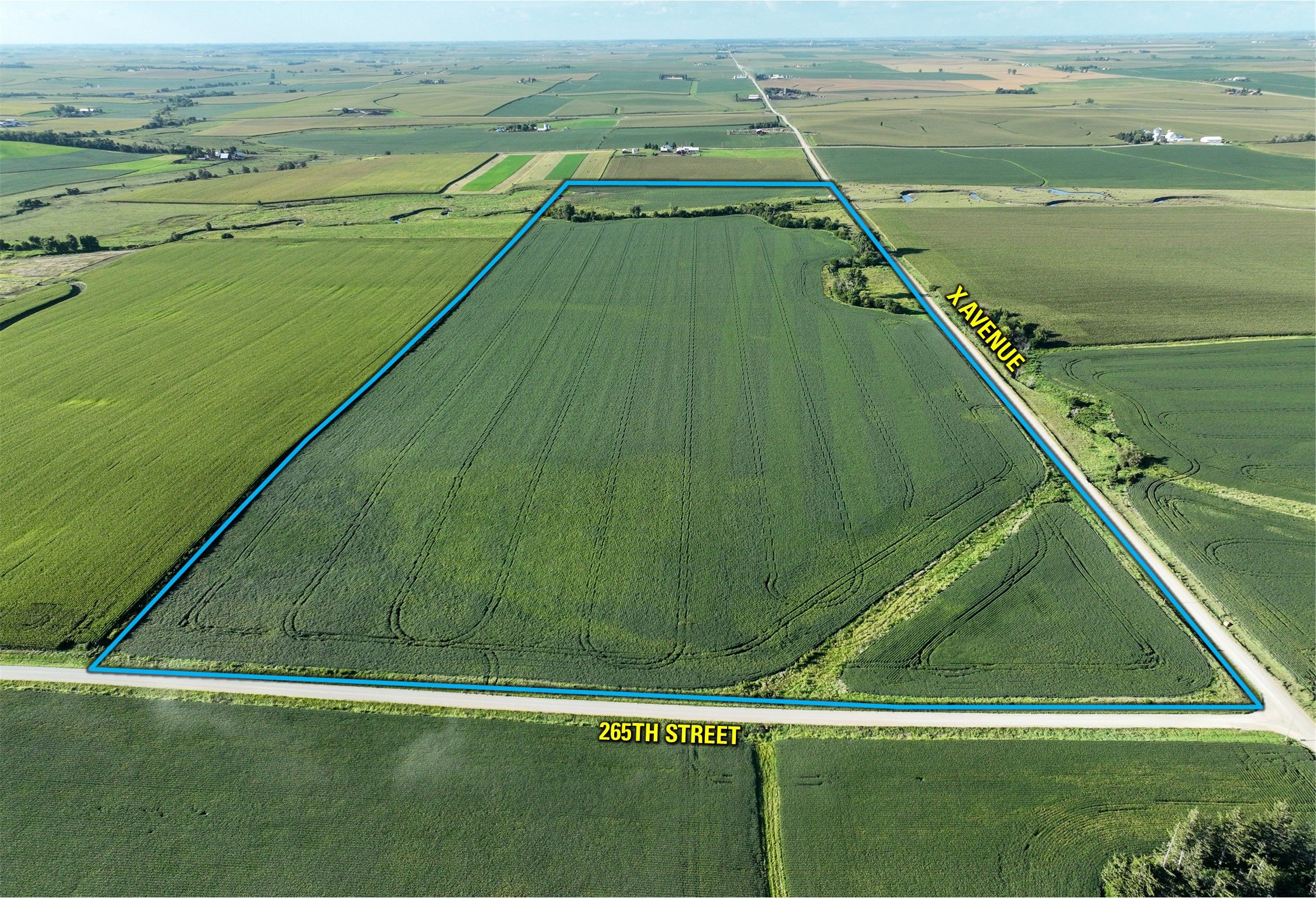 Listing #18588